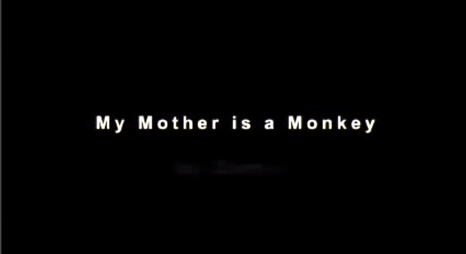 My Mother is a&nbsp;Monkey